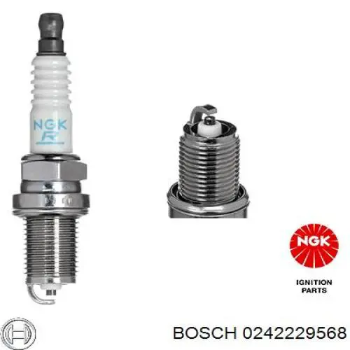  0242229568 Bosch