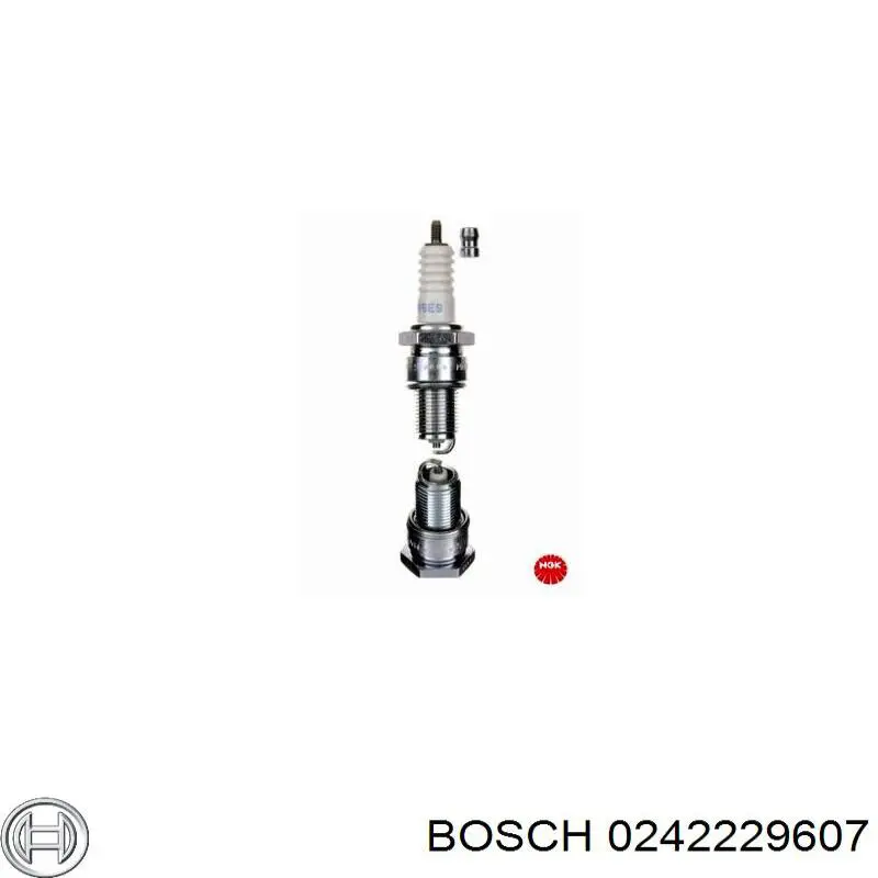  0242229607 Bosch