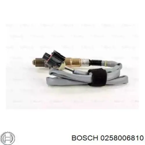  0258006810 Bosch