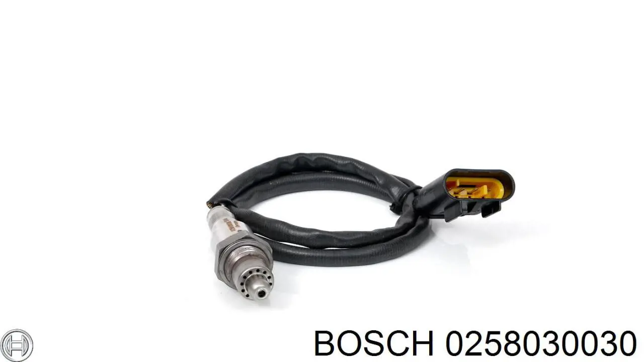  0258030030 Bosch