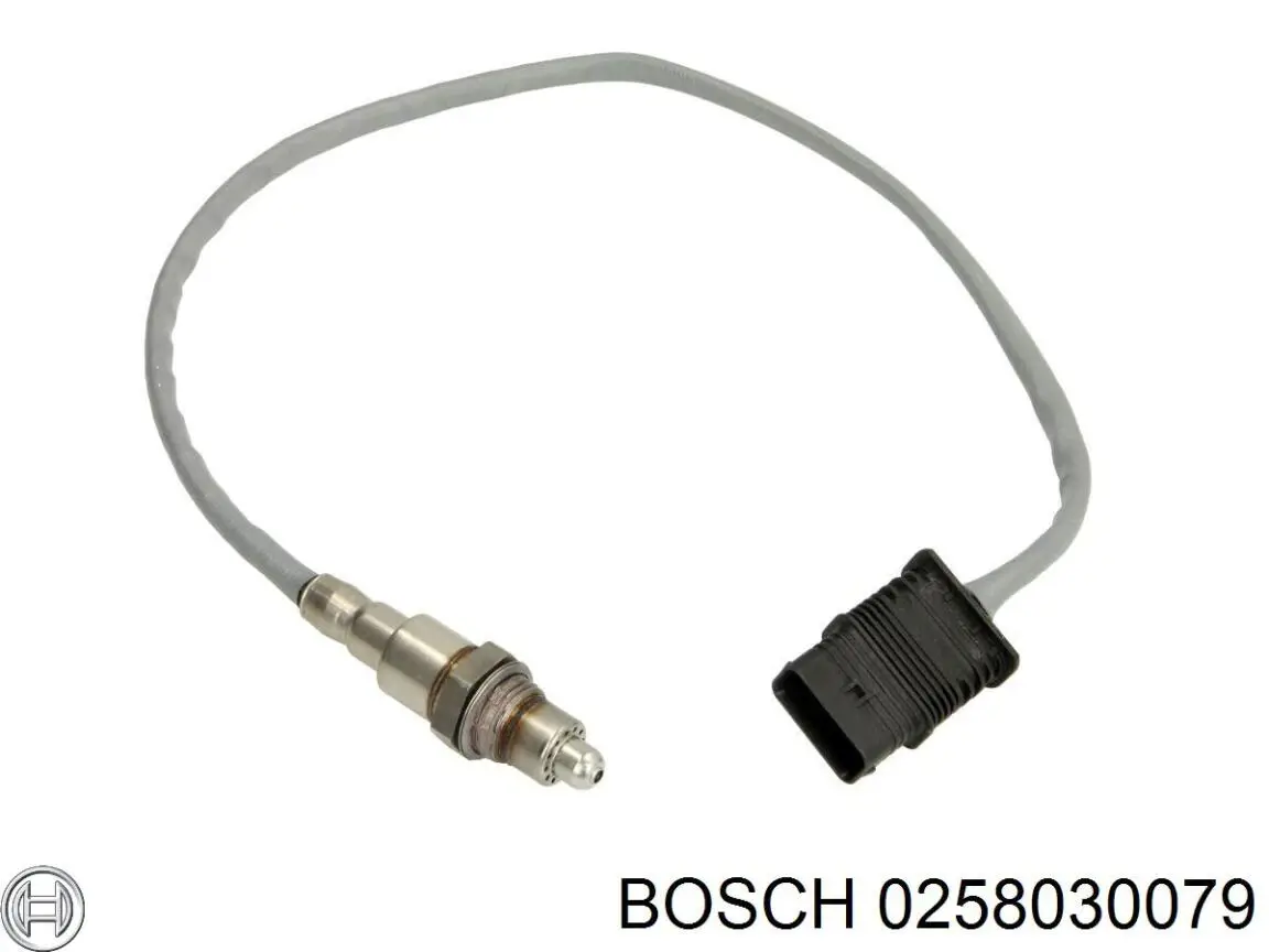  0258030079 Bosch