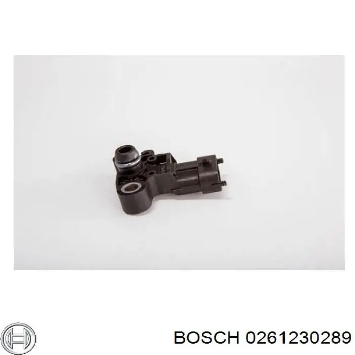 0261230289 Bosch датчик тиску у впускному колекторі, map