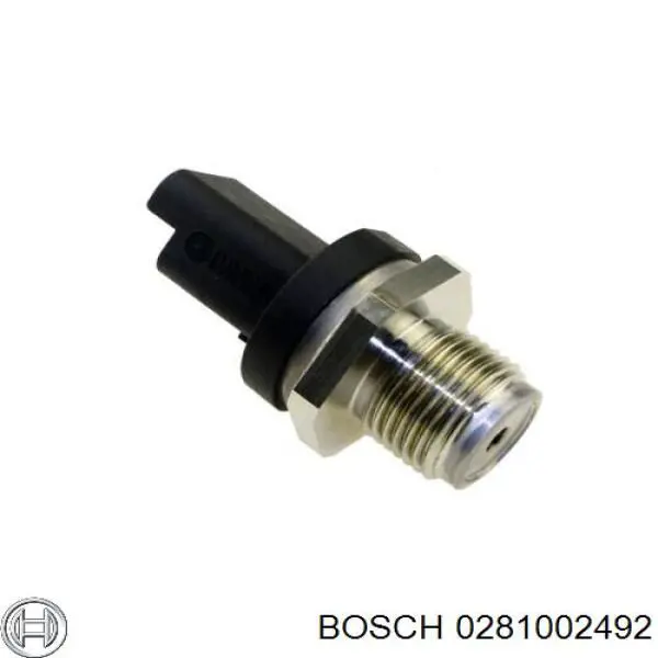 0281002492 Bosch Манометри