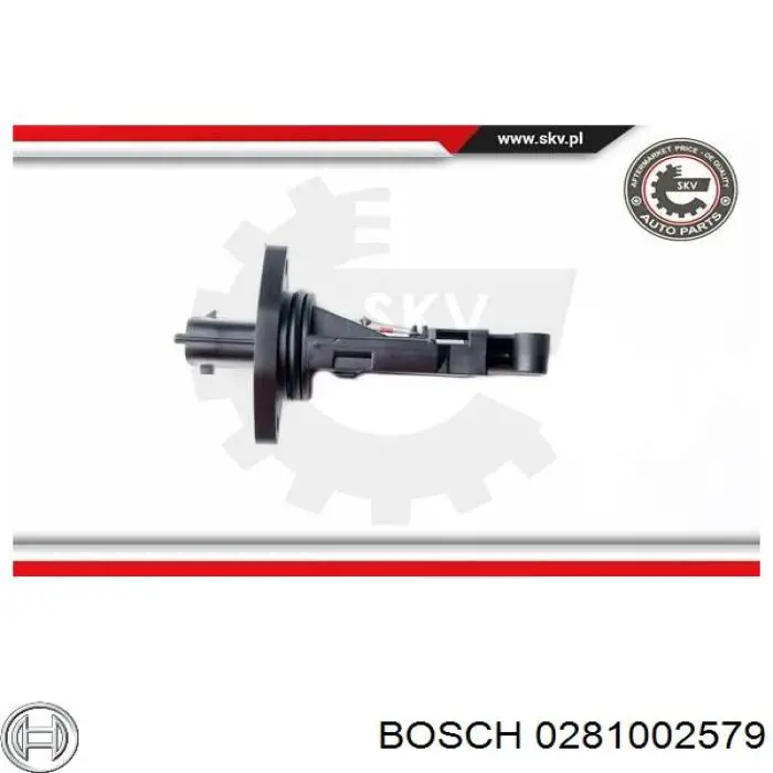 0281002579 Bosch Датчик витрати повітря