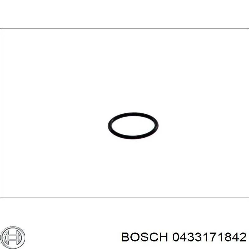 Купити 433171842 Bosch Розпилювач дизельної форсунки