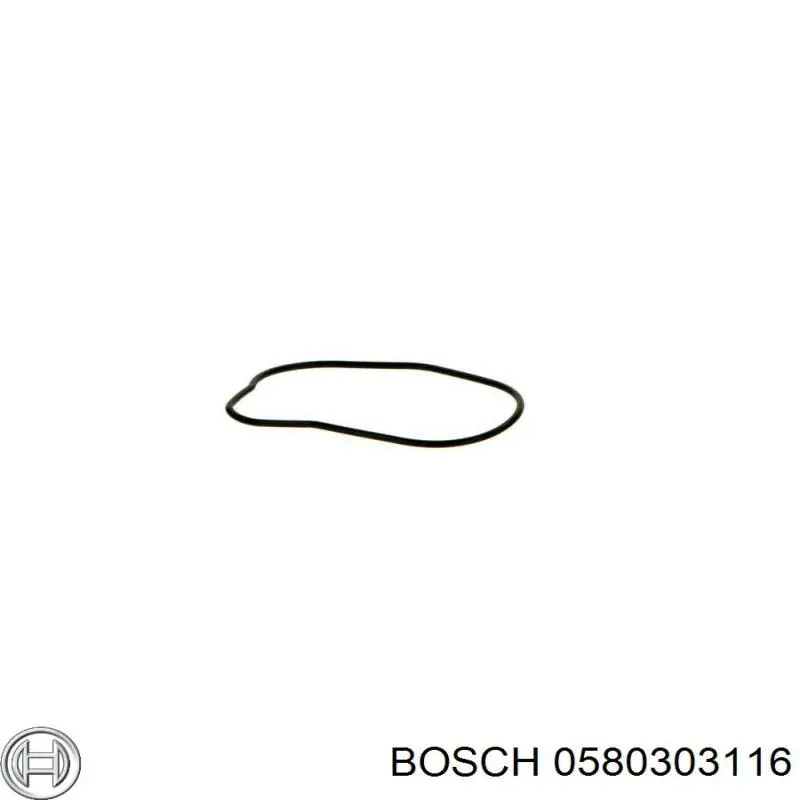 Бензонасос FT53009 Fast
