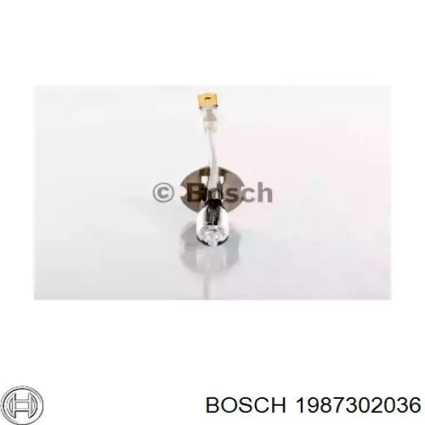 1987302036 Bosch лампочка галогенна