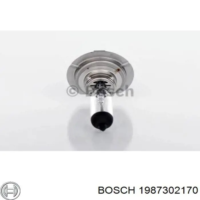Купити 1987302170 Bosch Лампочка галогенна