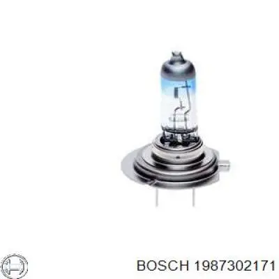  1987302171 Bosch