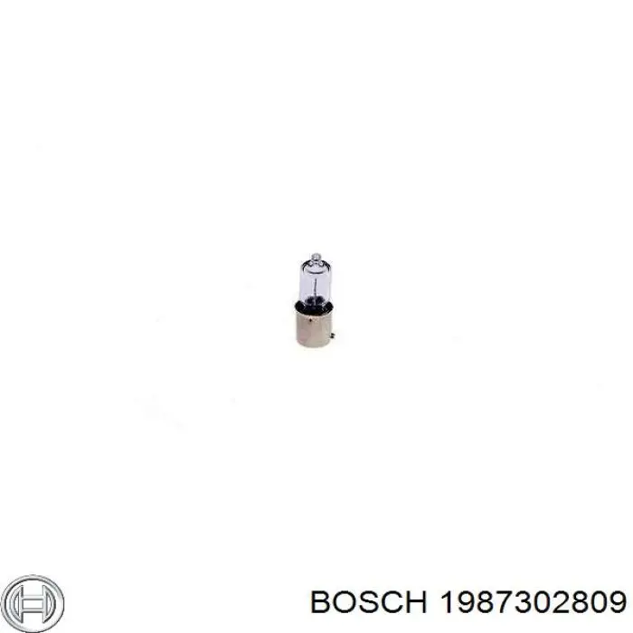 Лампочка 1987302809 Bosch