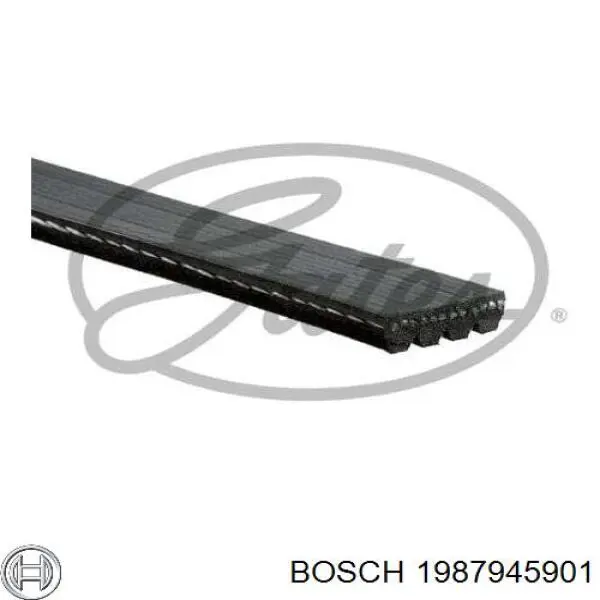 1987945901 Bosch Поліклиновий ремінь