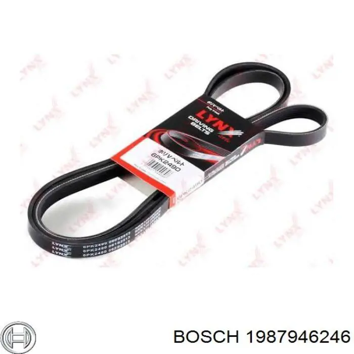 Купити 1987946246 Bosch Ремінь генератора