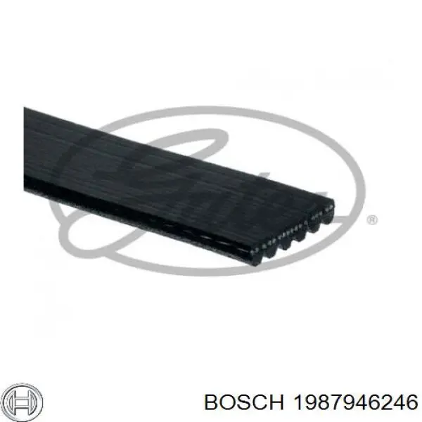Ремінь генератора 1987946246 Bosch