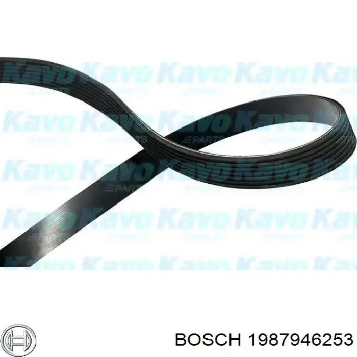 Купити A2819931696 Mercedes Ремінь генератора