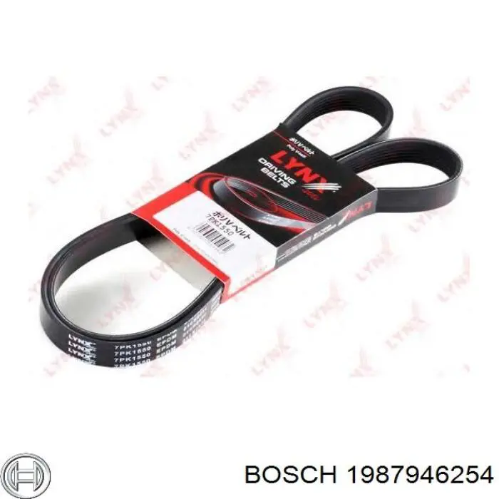 Купити 1987946254 Bosch Ремінь генератора
