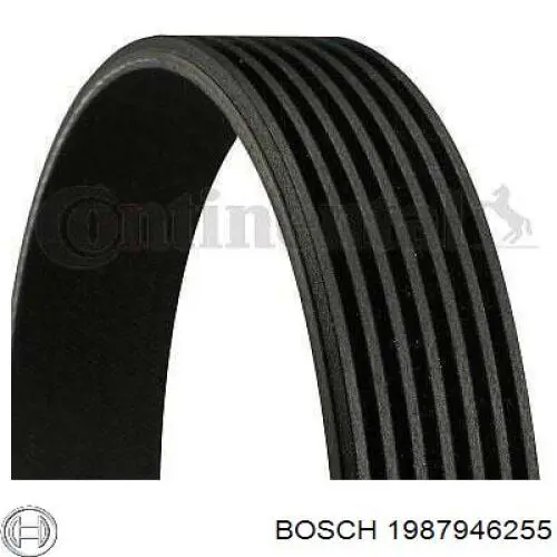 Клиновий ремінь Bosch 1987946255 ціна, від 16.09 USD