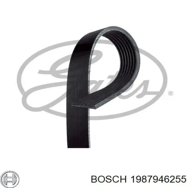 Купити 1987946255 Bosch Ремінь генератора