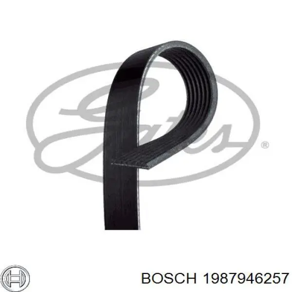 Клиновий ремінь Bosch 1987946257 ціна, від 14.36 USD