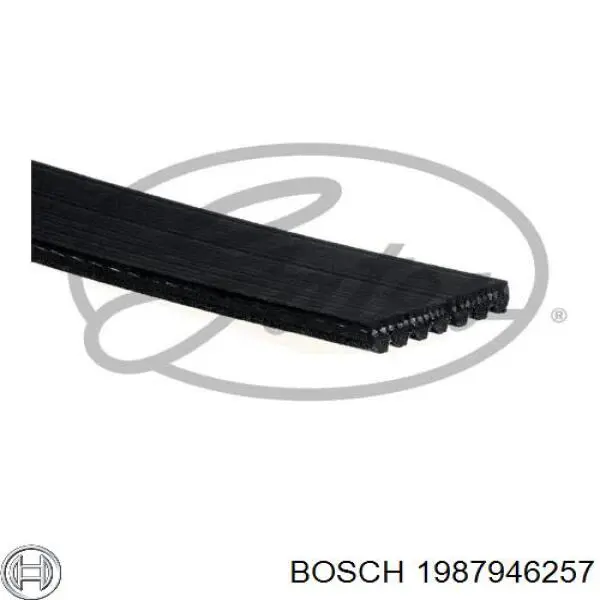 Купити 1987946257 Bosch Ремінь генератора