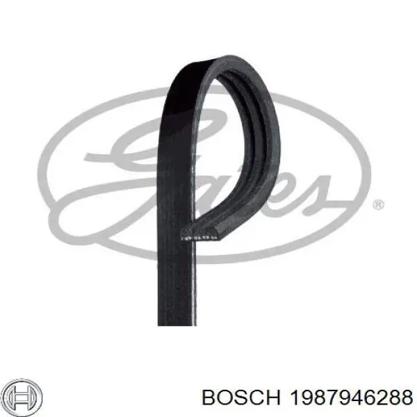 Ремінь генератора 1987946288 Bosch