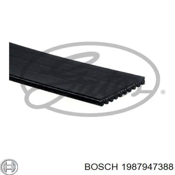 10PK1460 Gates Поліклиновий ремінь