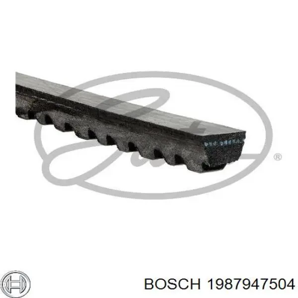 Купити 1987947504 Bosch Ремінь генератора