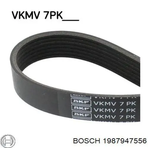 Клиновий ремінь Bosch 1987947556 ціна, від 17.54 USD