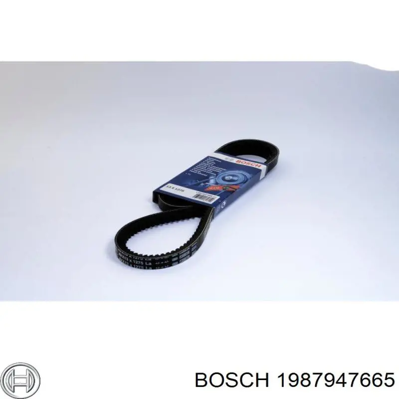 Ремінь генератора 1987947665 Bosch