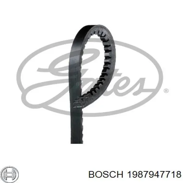 Купити 1987947718 Bosch Ремінь генератора