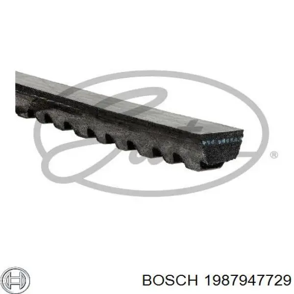 Купити RD10A1500EPDM Rider Ремінь генератора