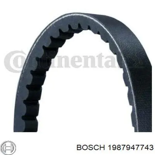 Купити AVX13X985 Continental/Siemens Ремінь генератора