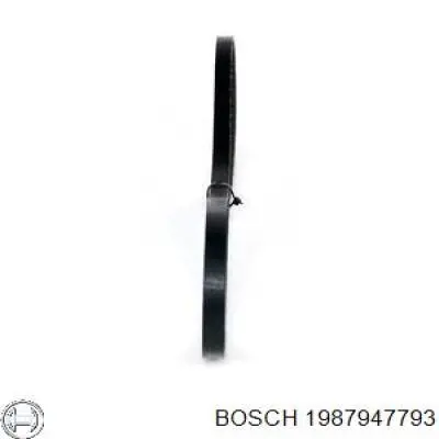 Клиновий ремінь Continental/Siemens 10X905 ціна, від 4.64 USD