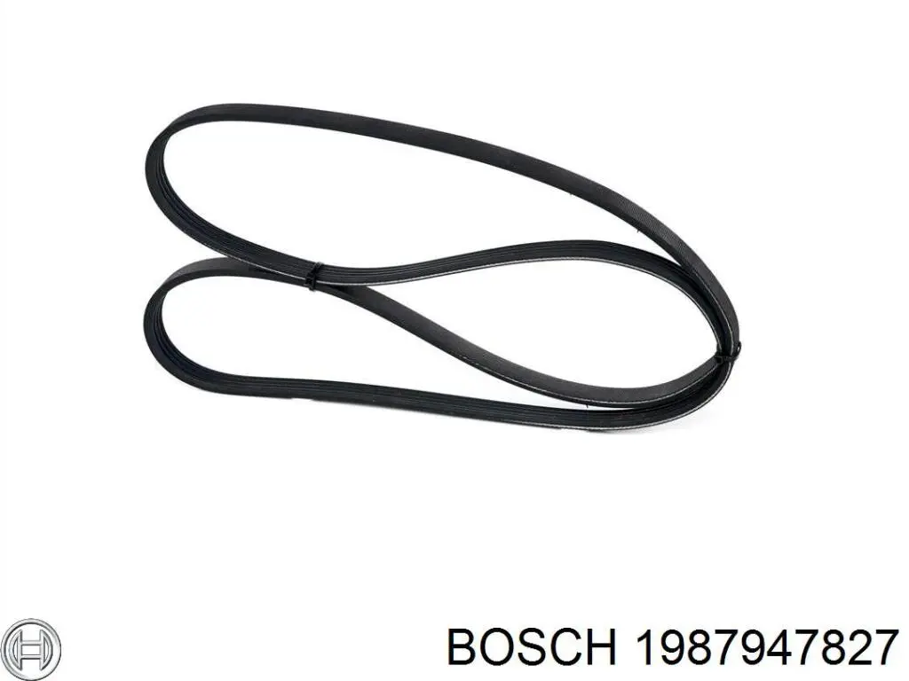 Купити 1987947827 Bosch Ремінь генератора