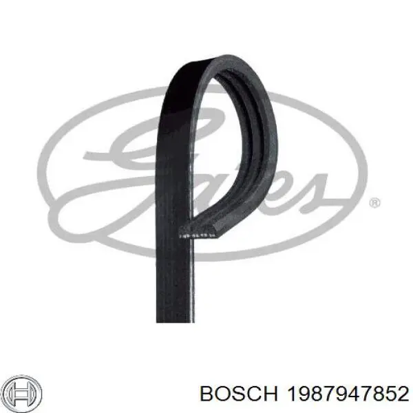 1987947852 Bosch Поліклиновий ремінь