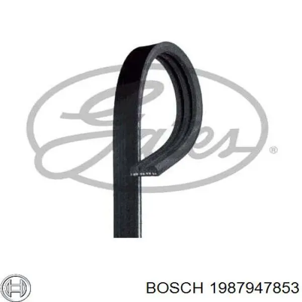 Купити 1987947853 Bosch Ремінь генератора