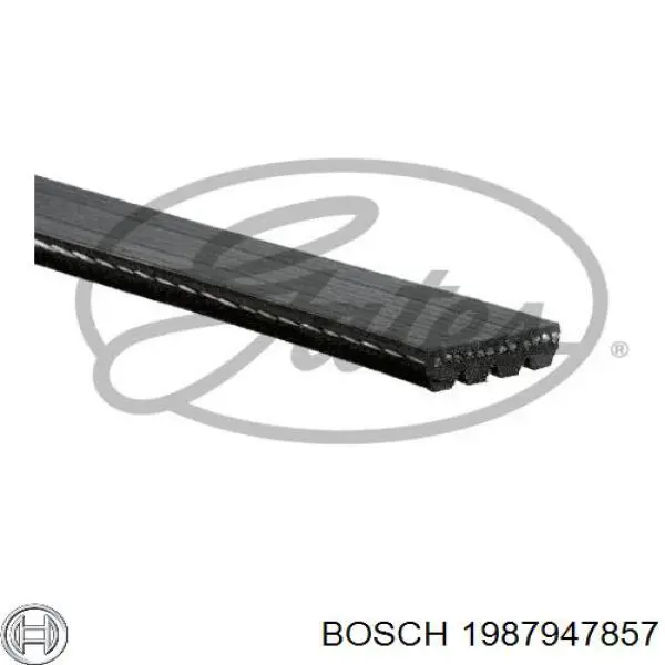 1987947857 Bosch Поліклиновий ремінь