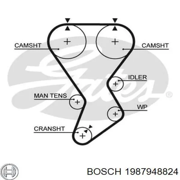 Ремінь ГРМ 1987948824 Bosch