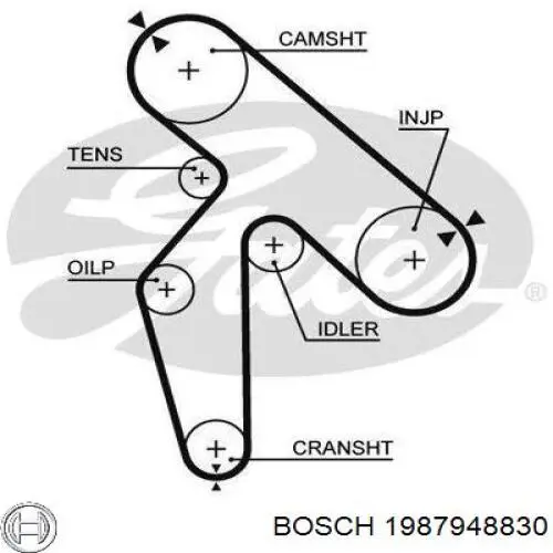 Ремінь ГРМ 1987948830 Bosch