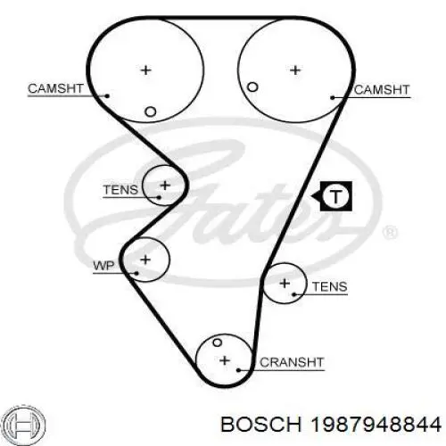 1987948844 Bosch ремінь грм
