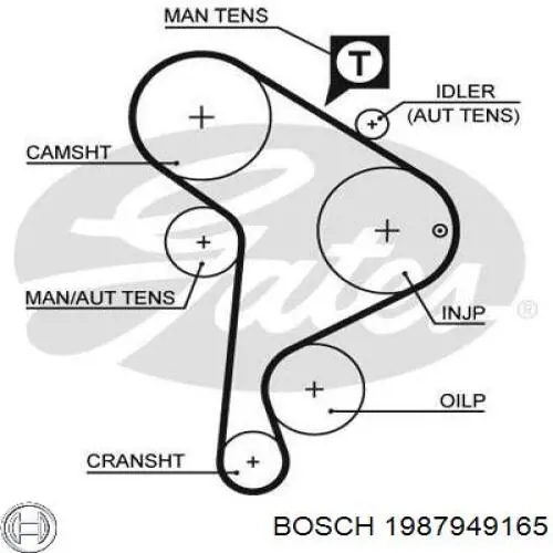 Ремінь ГРМ 1987949165 Bosch