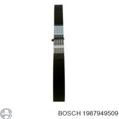 Ремінь ГРМ 1987949509 Bosch