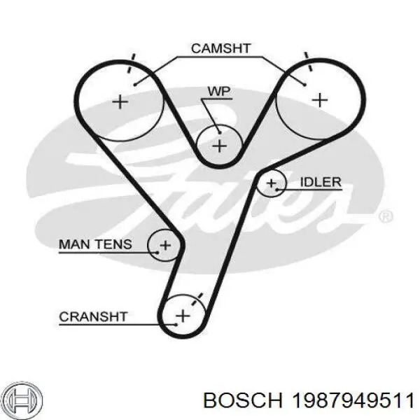 Ремінь ГРМ 1987949511 Bosch