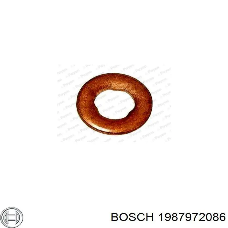 Кільце форсунки 1987972086 Bosch