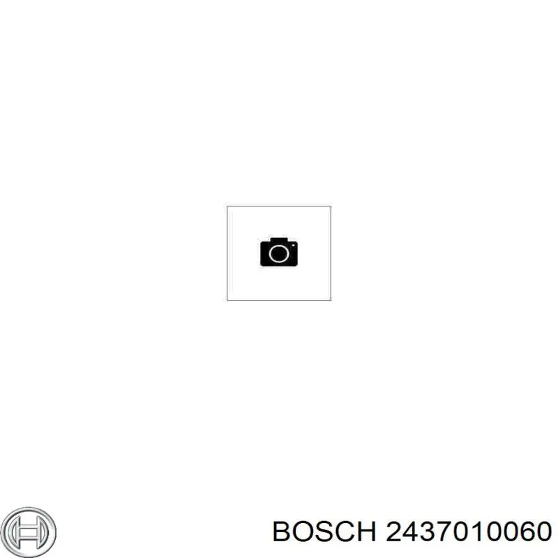 Розпилювач дизельної форсунки 2437010060 Bosch