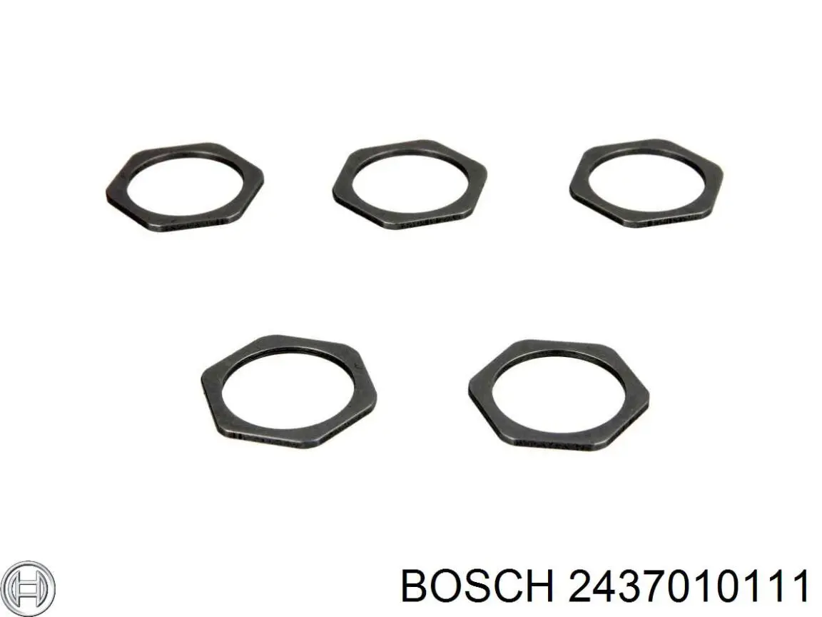 2437010111 Bosch Розпилювач дизельної форсунки