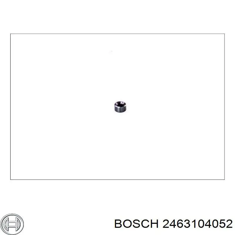 2463104052 Bosch ремкомплект пнвт
