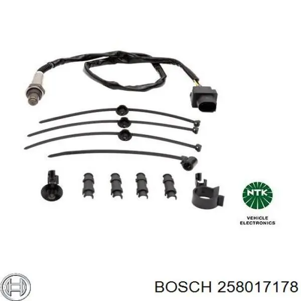 Купити 258017178 Bosch Лямбдазонд, датчик кисню до каталізатора