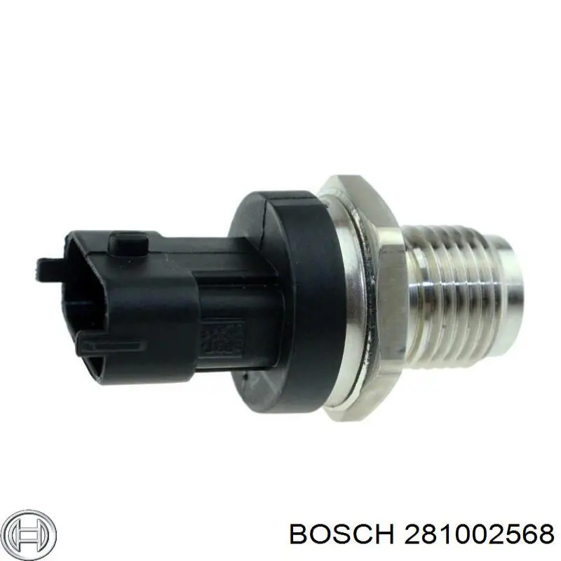 281002568 Bosch Манометри