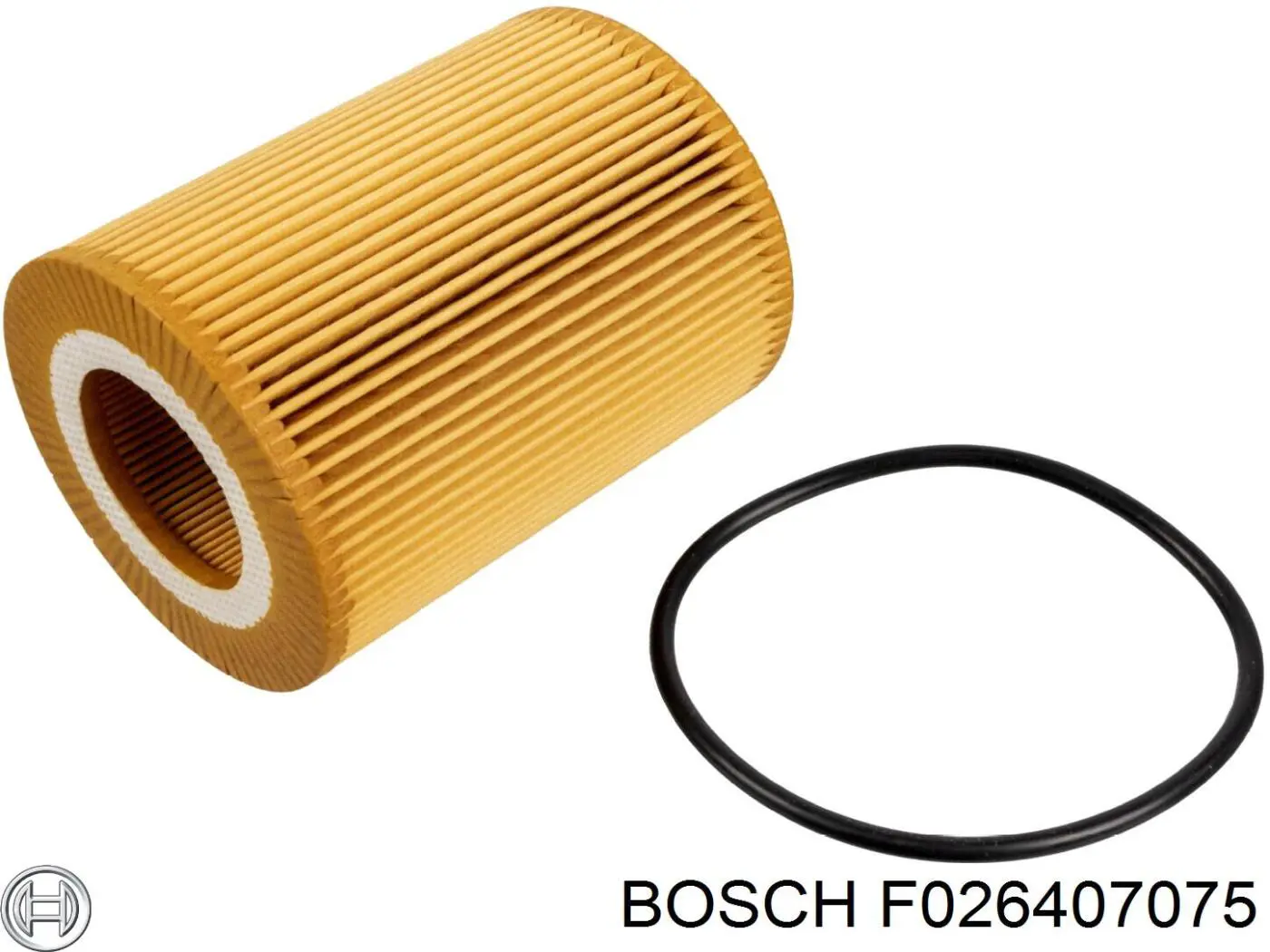 Фільтр масляний Bosch F026407075