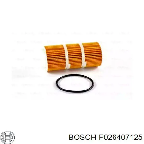 Купити F026407125 Bosch Фільтр очищення масла відцентровий